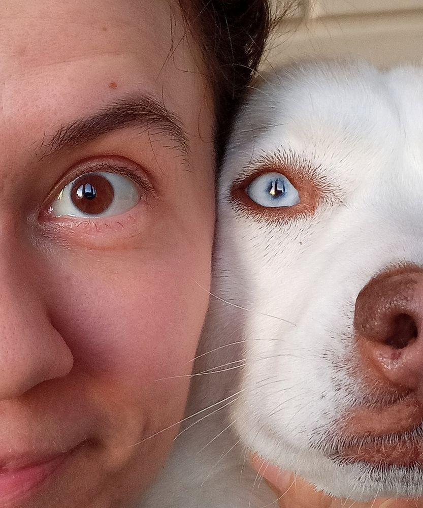 Photograph by Ольга Рогозина