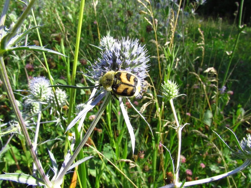 Photograph by Денис Веску