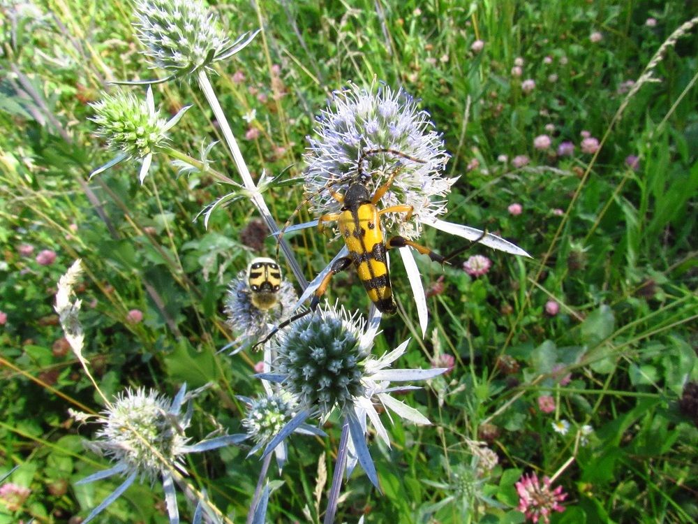 Photograph by Денис Веску