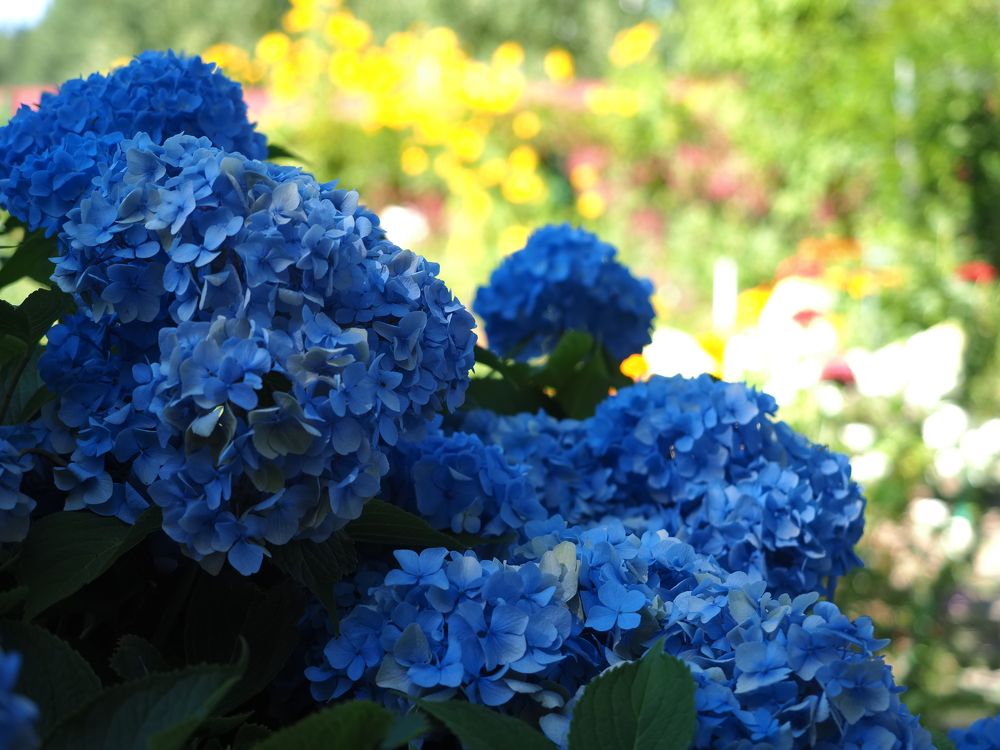 Photograph by Виктор Комиссаров