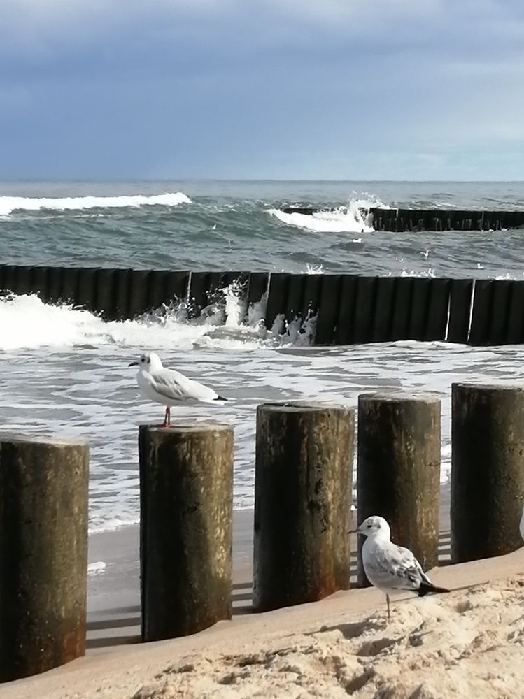 Photograph by Галина Смирнова