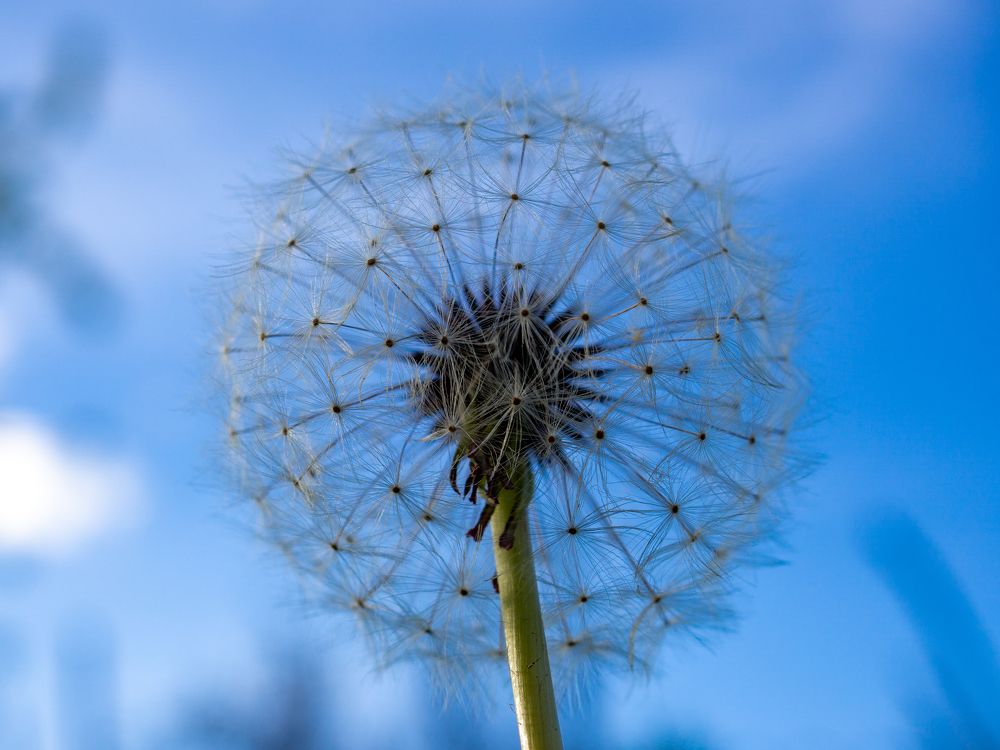 Photograph by Pucs Fongabe