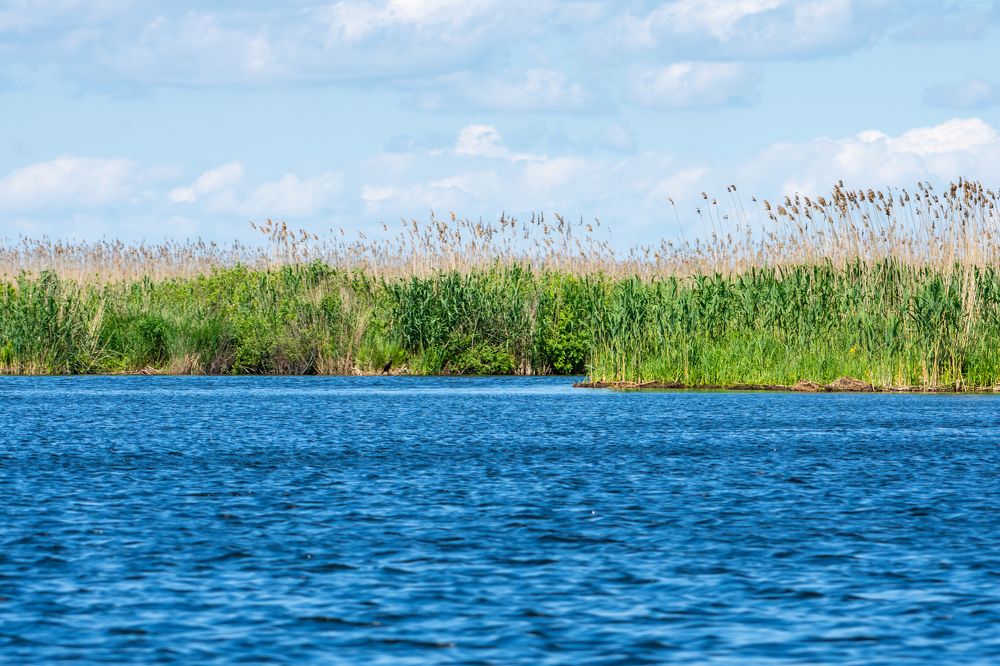 Photograph by Pucs Fongabe