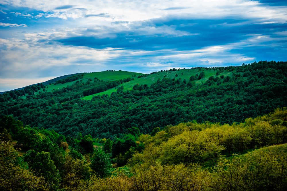 Photograph by Radu Constantinescu