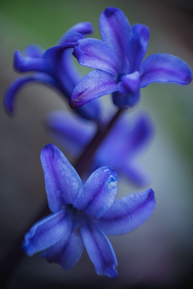 Photograph by Юлия