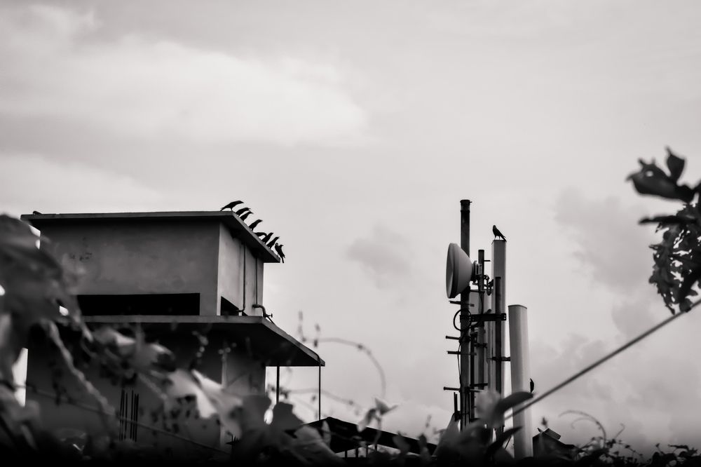 Photograph by Abir Hasan Mahmud