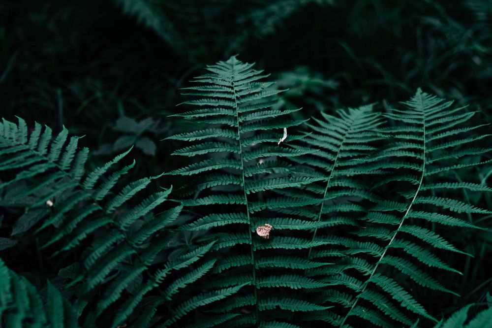 Photograph by Андрей Шишлов