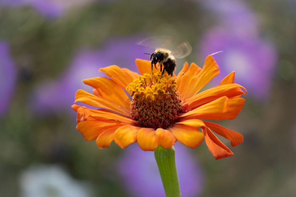 Photograph by Елена Бледных