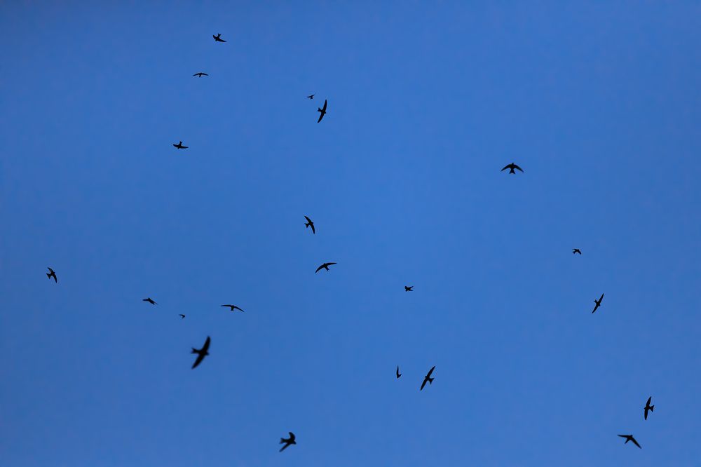 Photograph by Ольга Мазлова