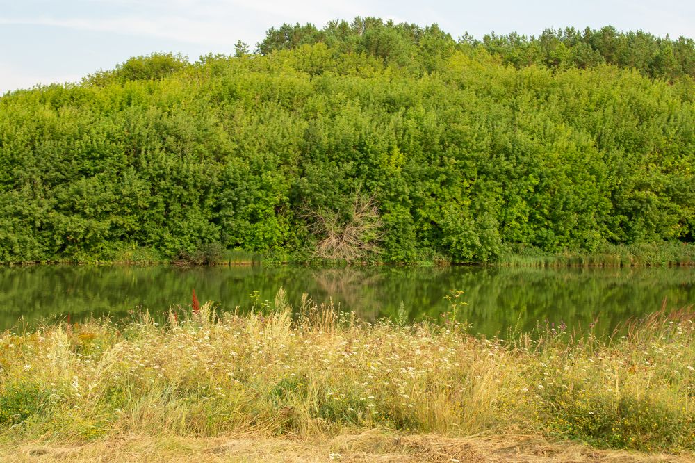 Photograph by Ляйсан Загидуллина