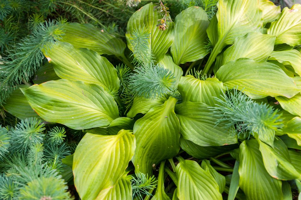 Photograph by Валерий Клейменов