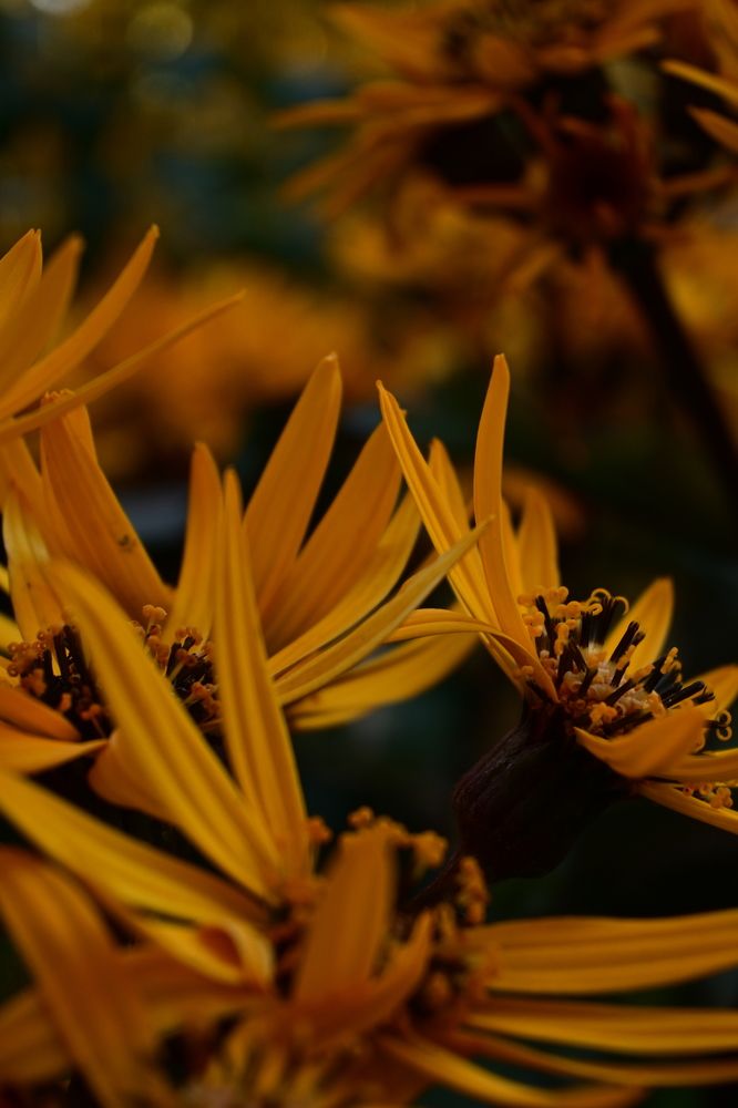 Photograph by Анастасия Обидина