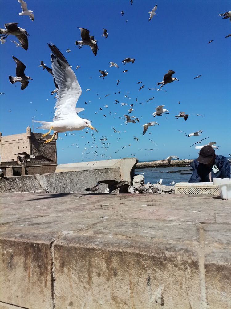 Photograph by Fatima-Zahra Moufaddal