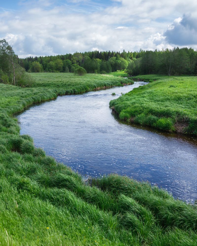 Photograph by Елизавета Белоусова