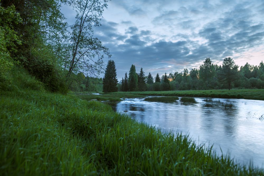 Photograph by Елизавета Белоусова