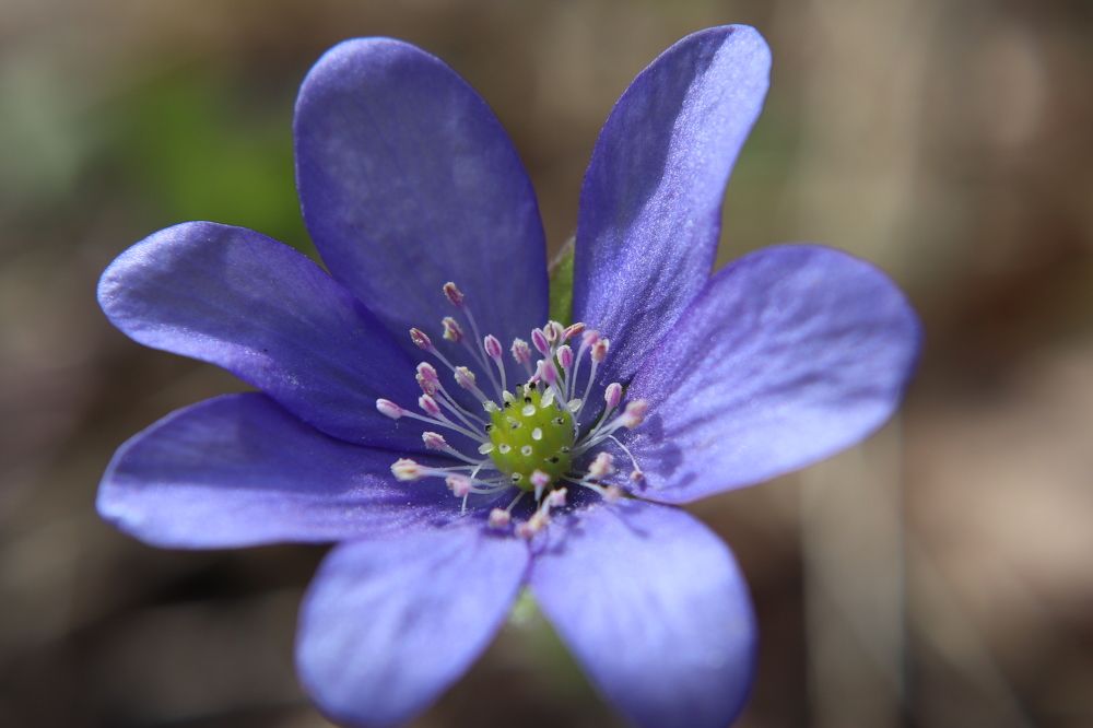 Фотография автора Анастасия Богдан