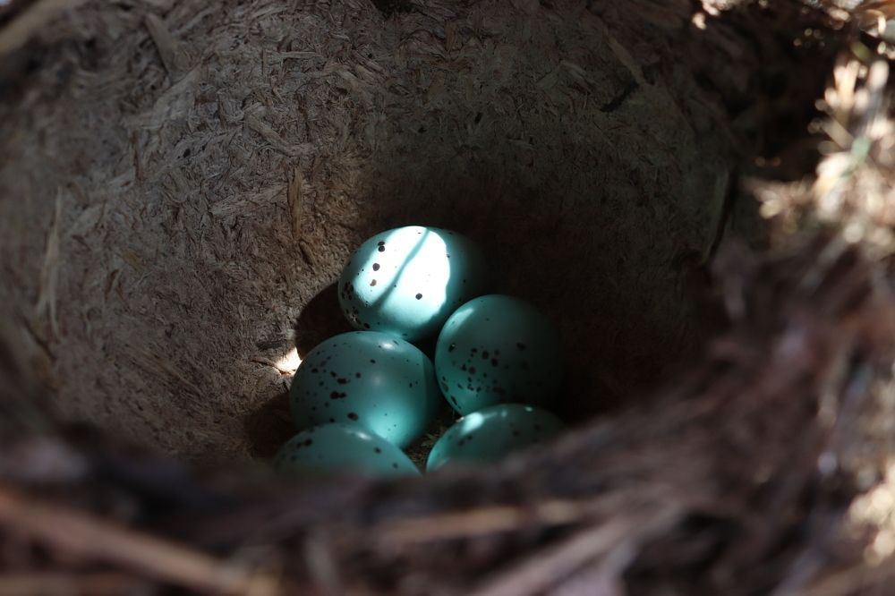Фотография автора Анастасия Богдан