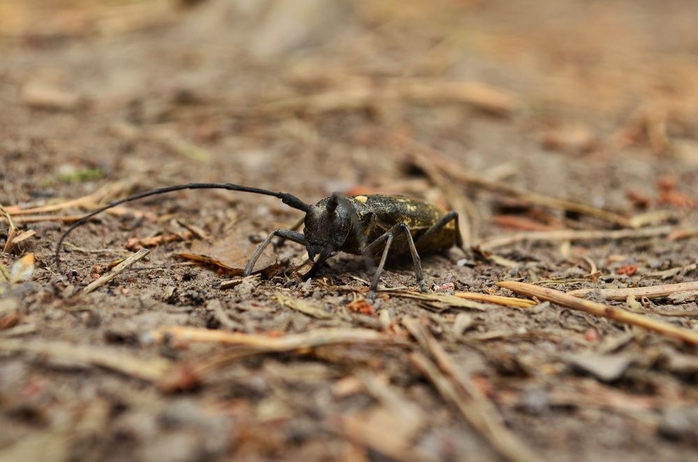 Photograph by Максим Солдатенко