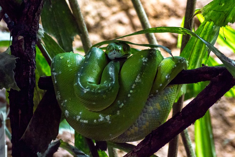 Photograph by Артем Карлов