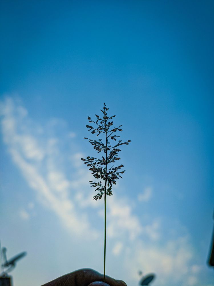 Photograph by Dhruv Mistry