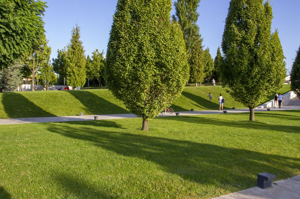 Photograph by Елена Титова