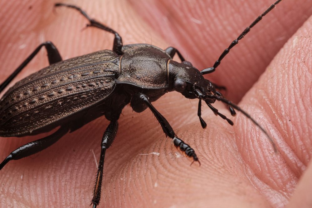 Photograph by Антон Кувшинов