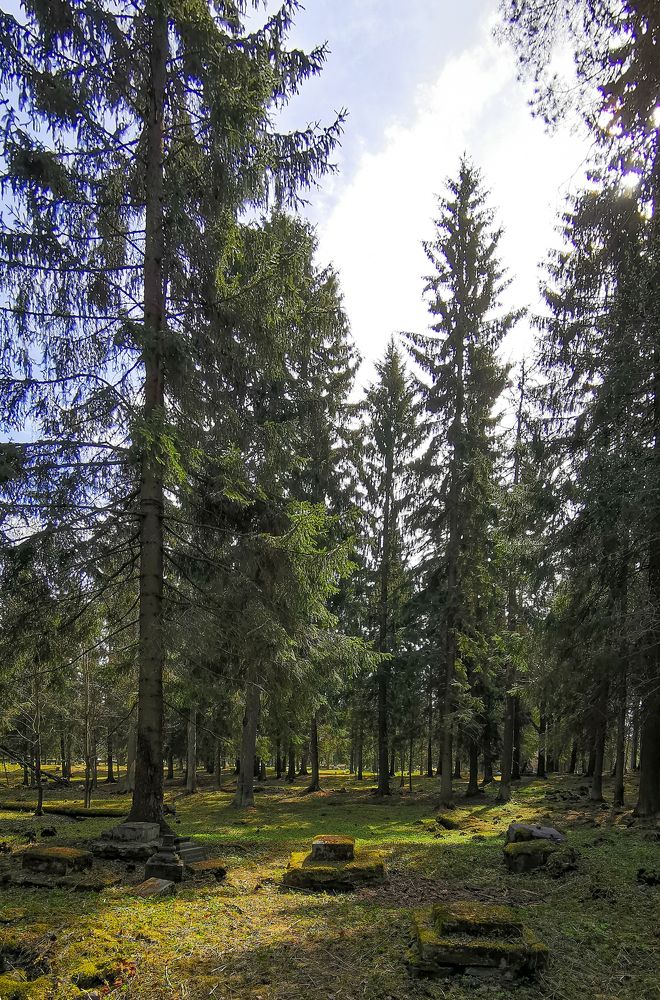 Photograph by Valentina