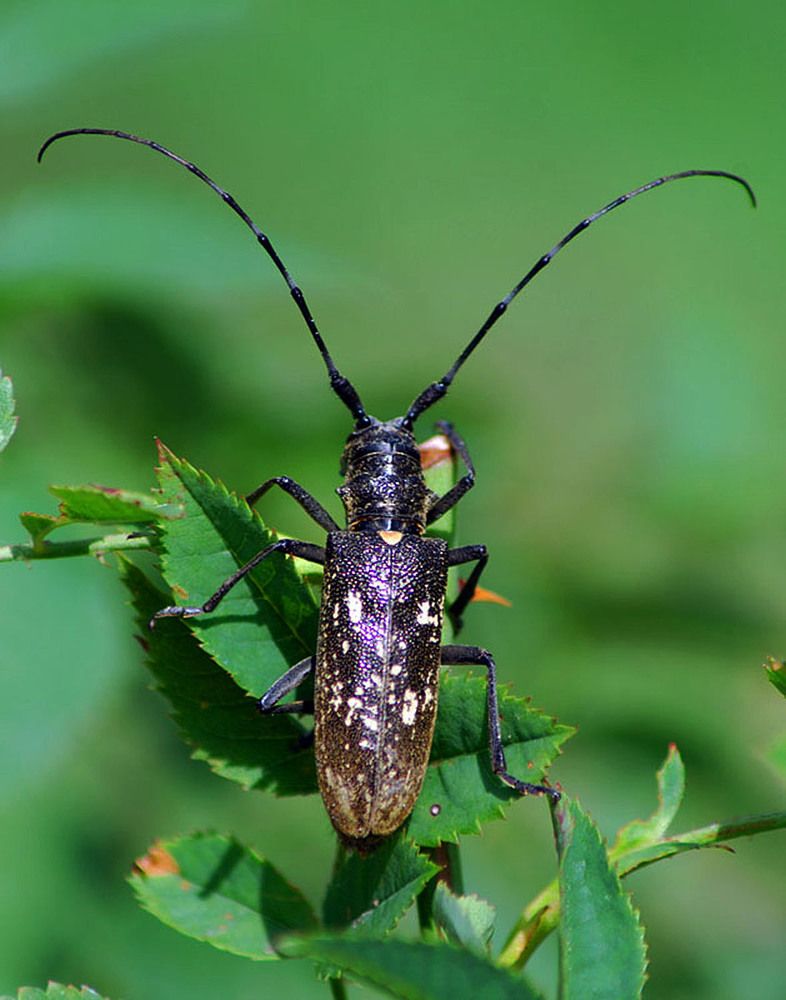 Photograph by Людмила Павловна