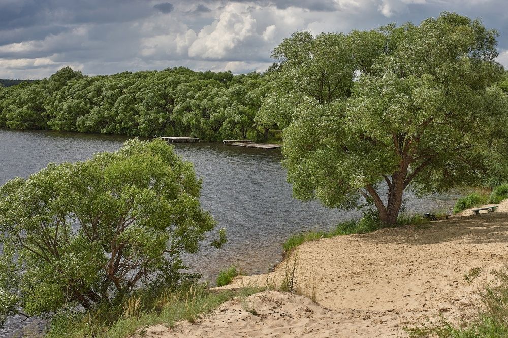 ПЕРЕД ГРОЗОЙ