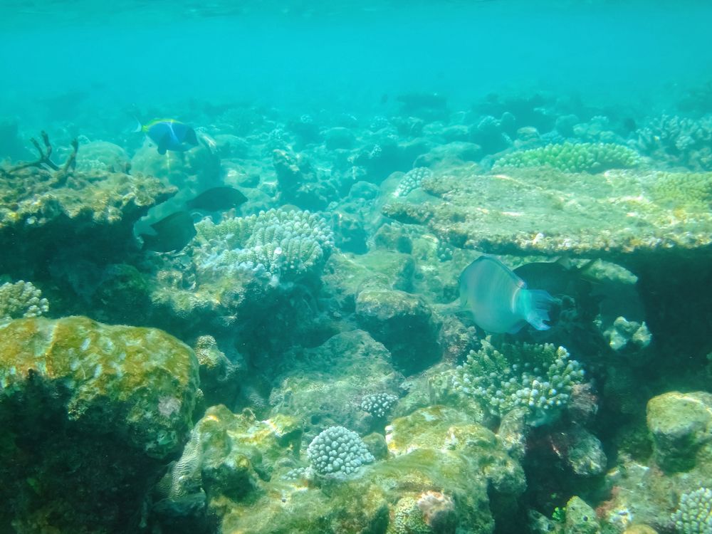 Фотография автора Яна Романова