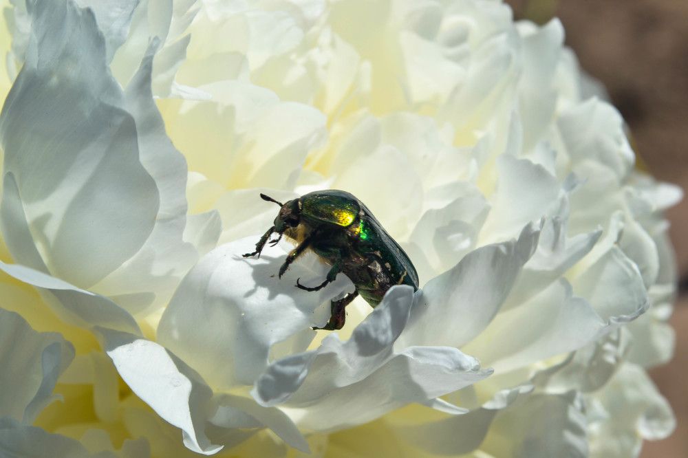 Photograph by Евгения Серебрякова