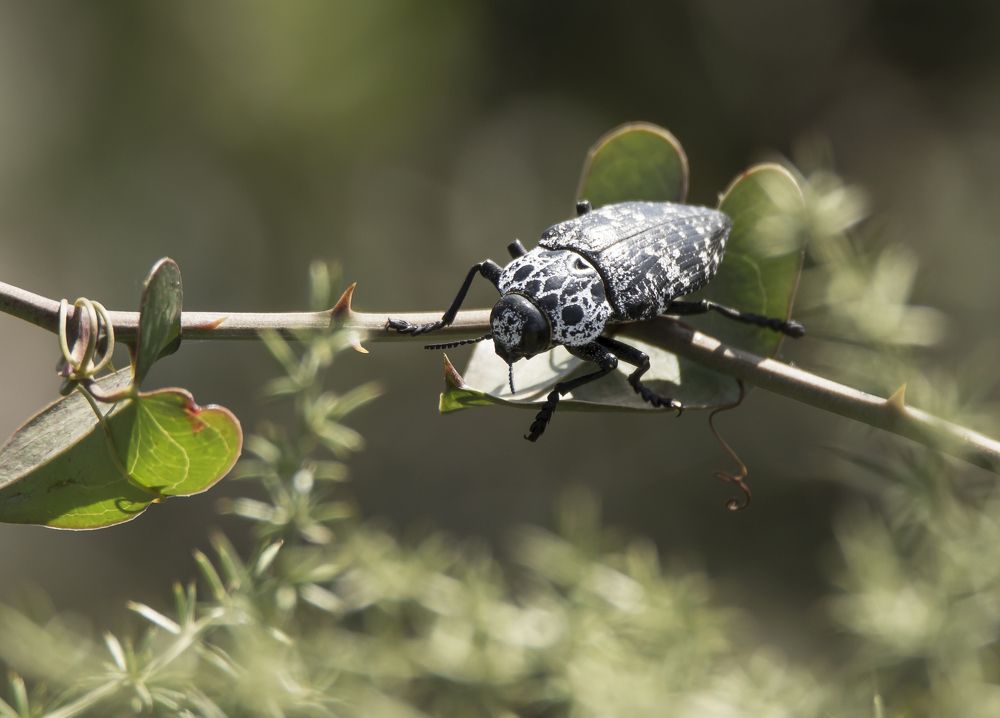Photograph by Валентина Лопаткина