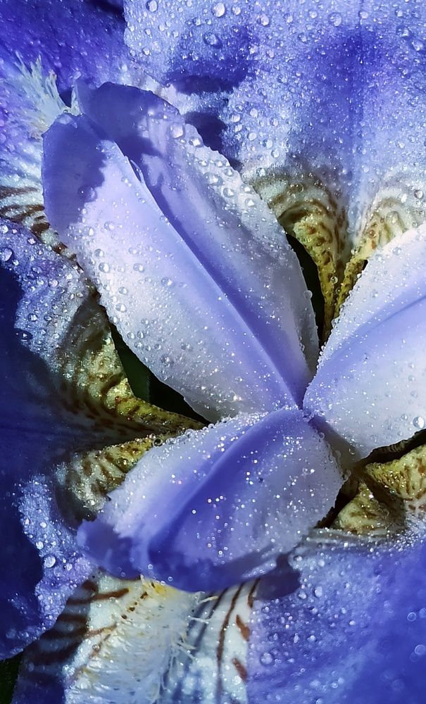 Photograph by Новикова Елена Сергеевна