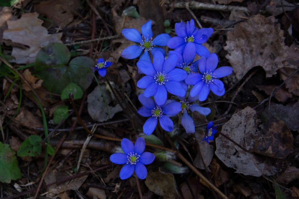 Фотография автора Геннадий Коробов