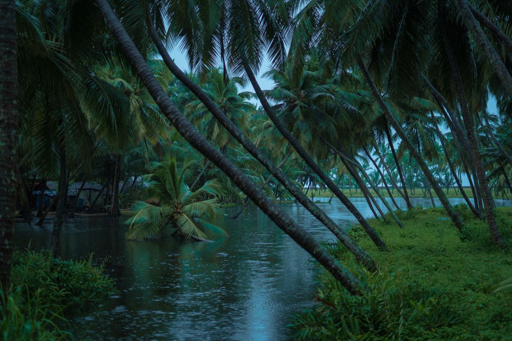 Photograph by Kiran Ottur