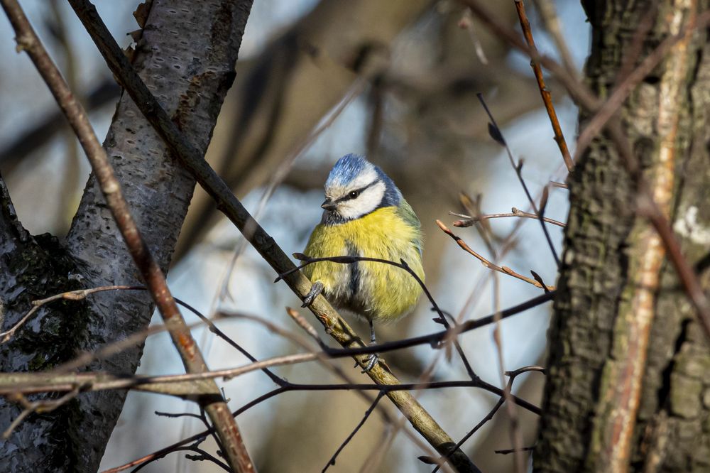 Photograph by Юлия Куликова