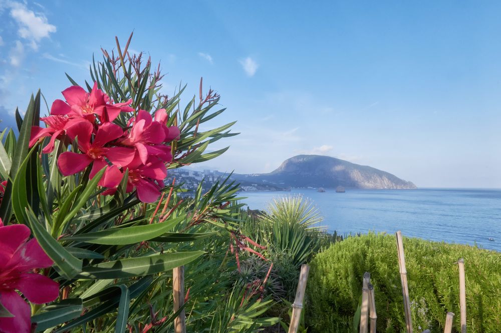 Photograph by Андрей Прищепин