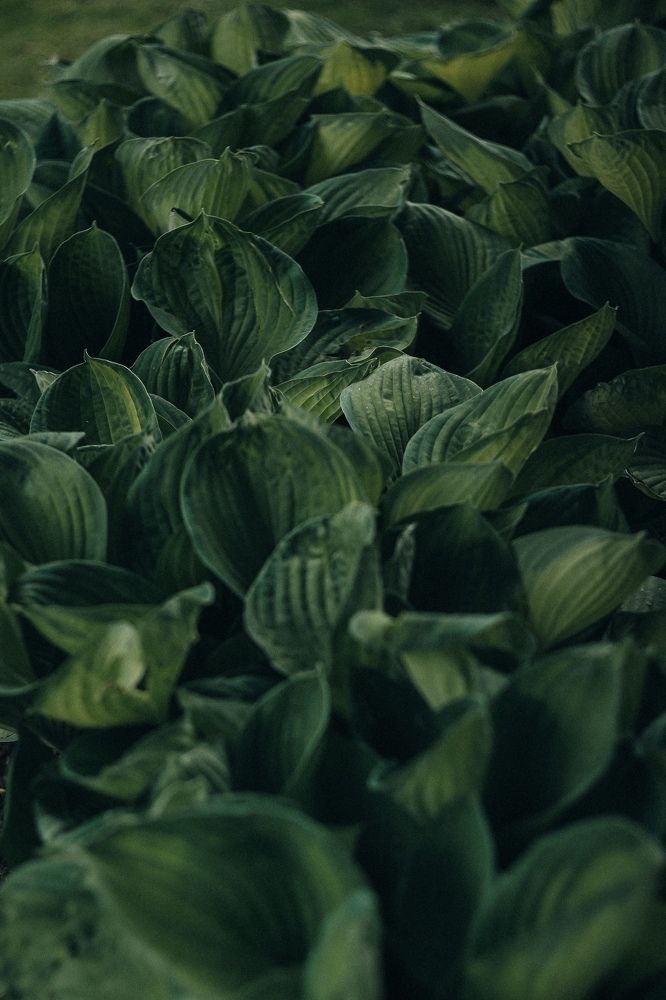 Photograph by Ольга Иванова