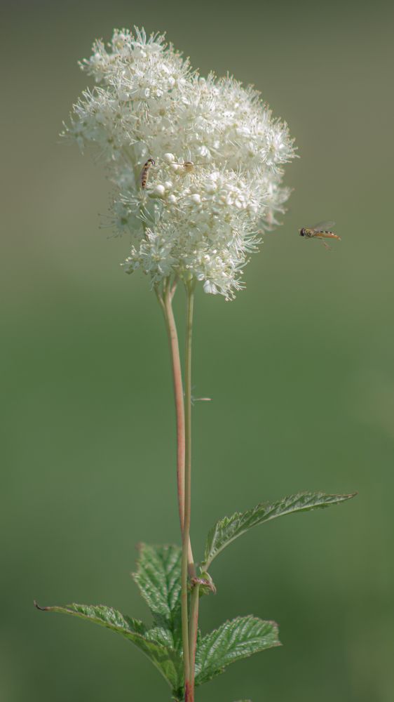 Photograph by Никита Павлов