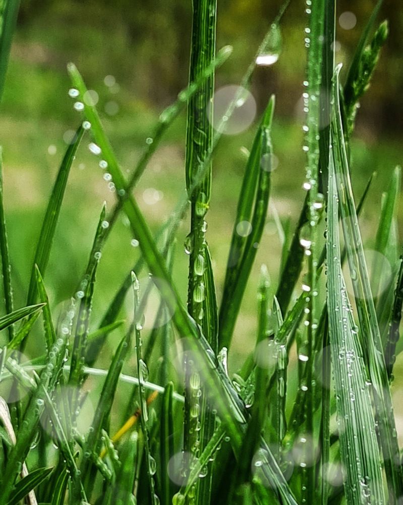 Photograph by Людмила Григорьева