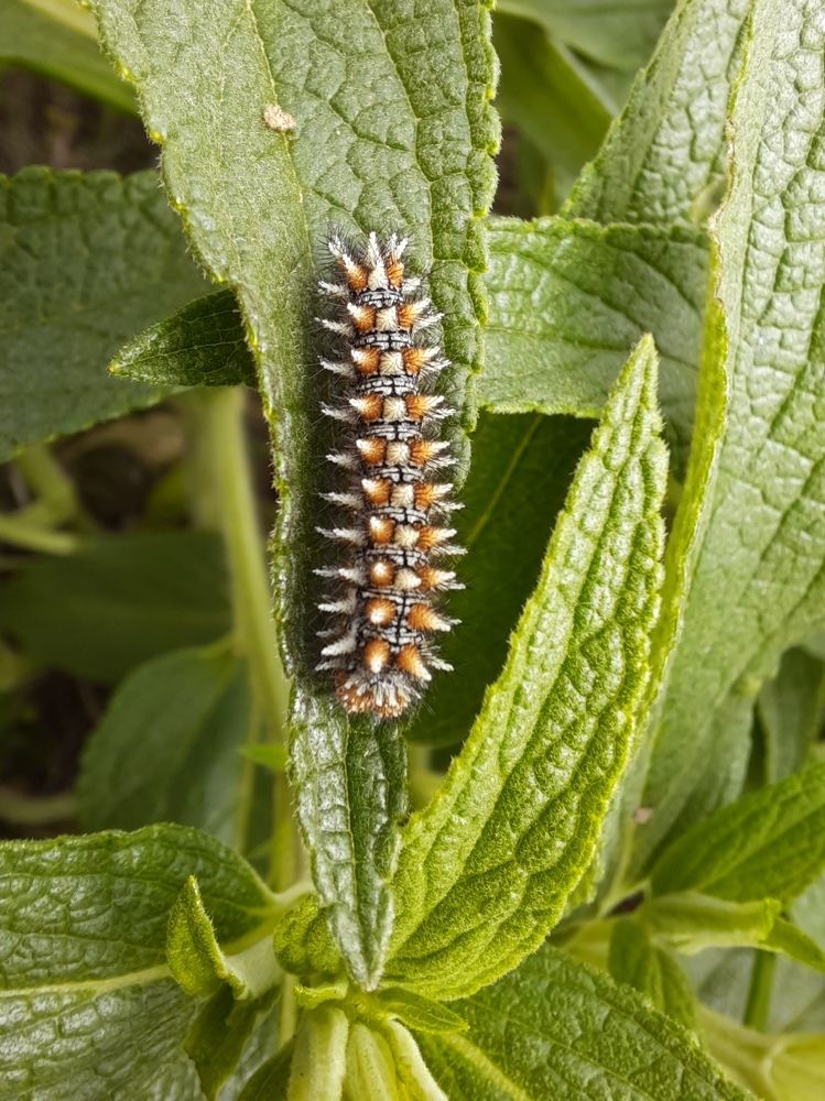 Photograph by Natalia Rassokhina