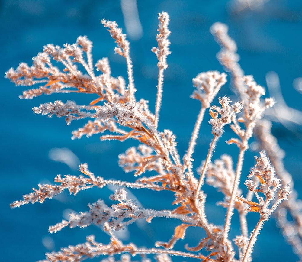 Photograph by Екатерина Лебедева