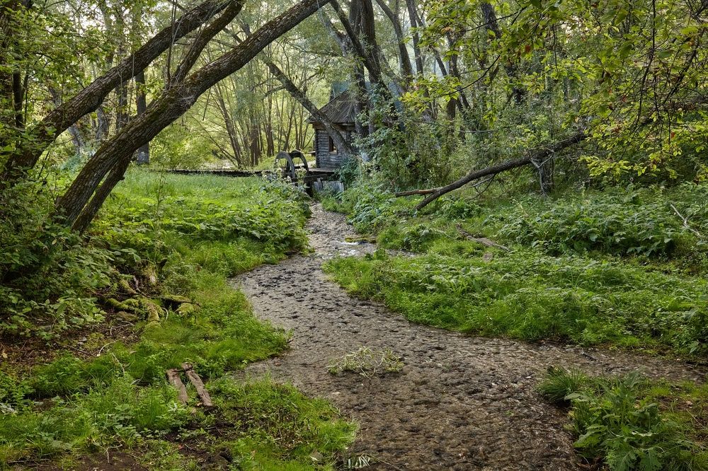 ИСТОКИ ХОПРА