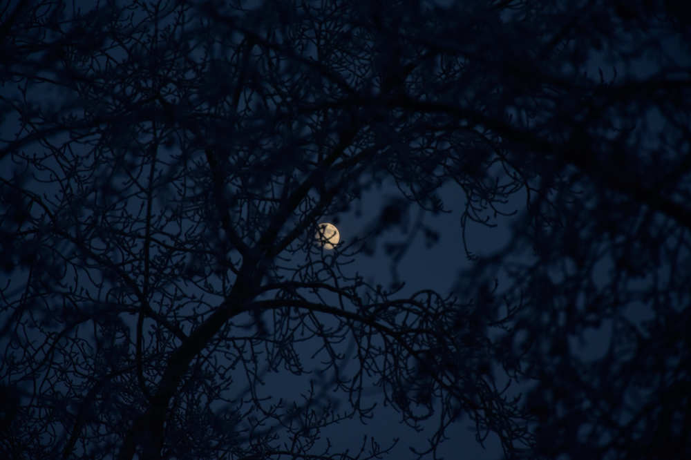 Photograph by Приходько Дмитрий