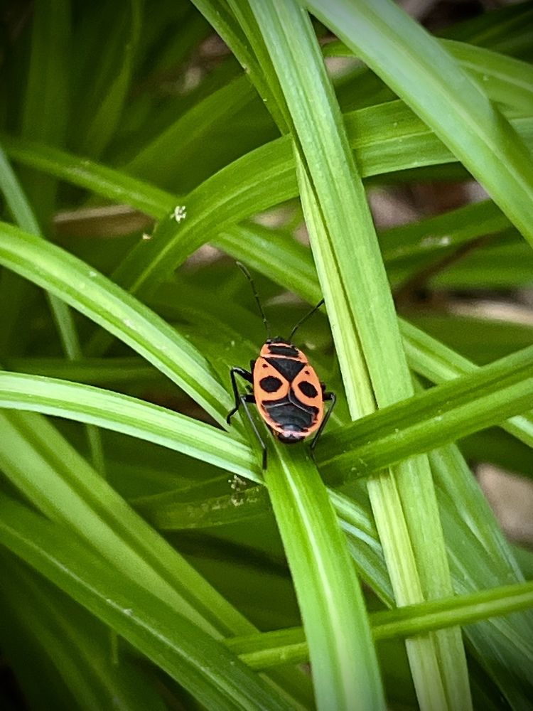 Photograph by Юлия Андреева