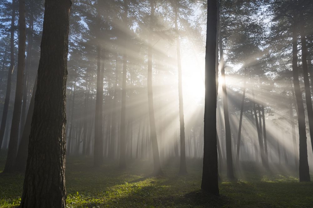 Photograph by Сергей Шерстнев