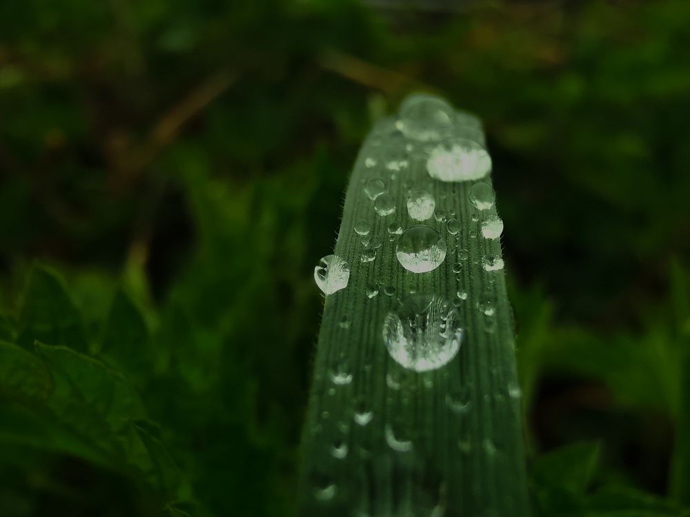 Photograph by Максим Шарыгин