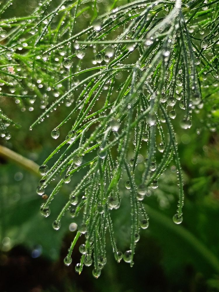 Photograph by Eлена Смирнова