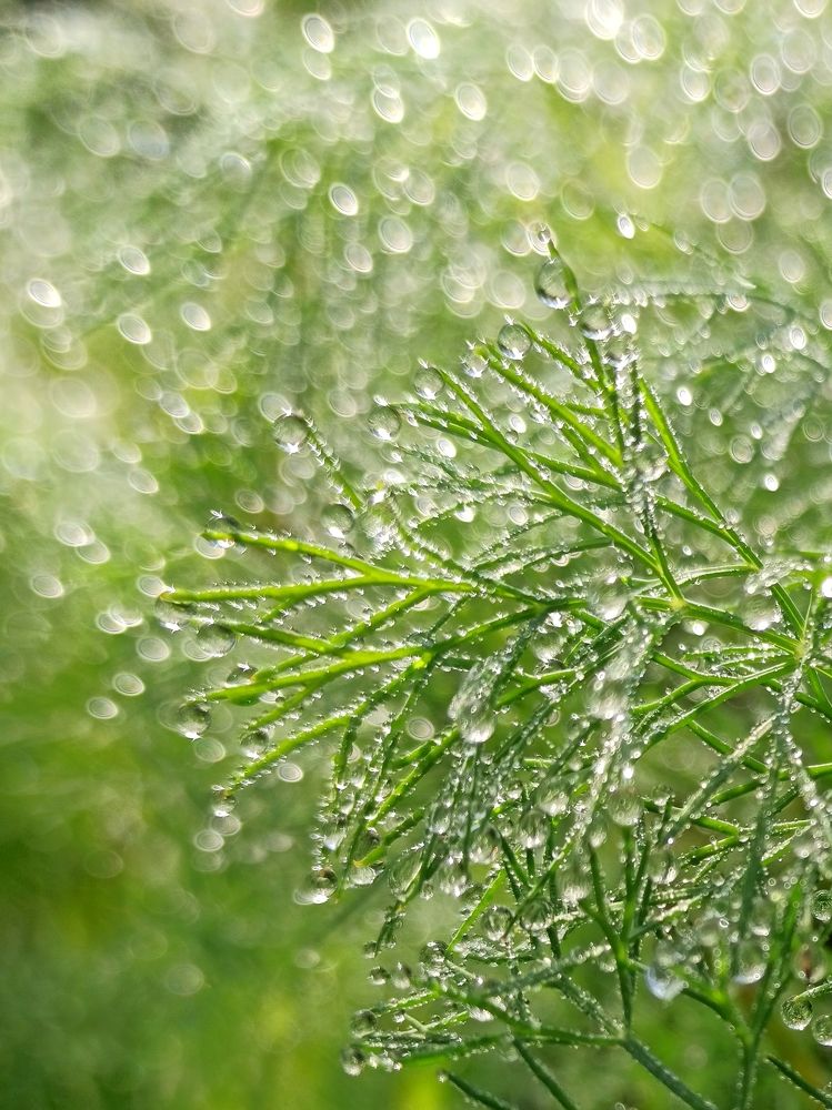 Photograph by Eлена Смирнова