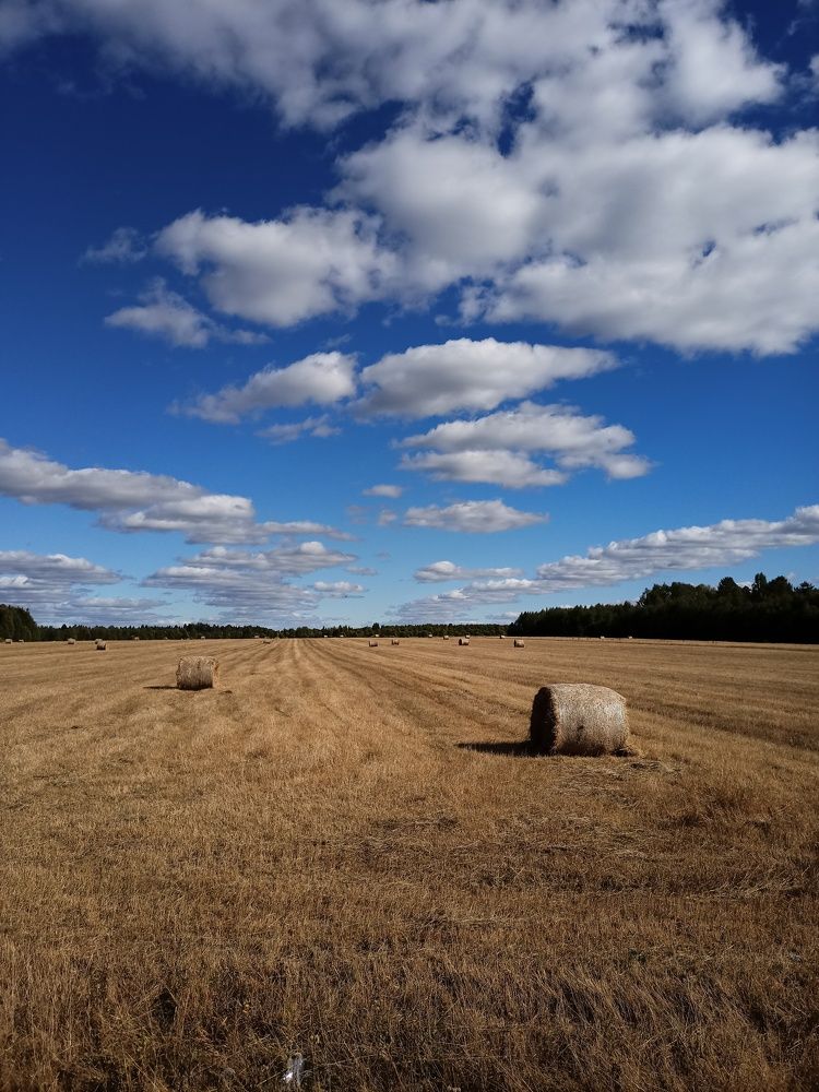 Photograph by Марина Рукавичко